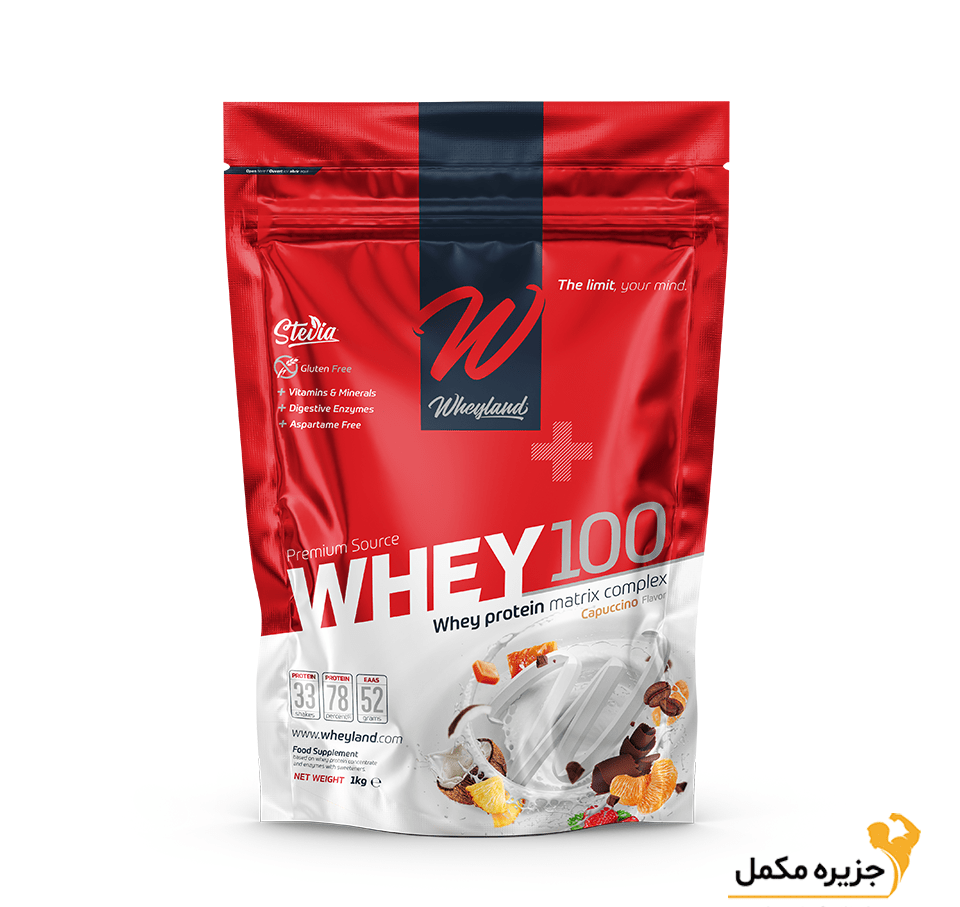 پودر وی ۱۰۰ وی‌لند ۱۰۰۰ گرم | Wheyland Whey 100